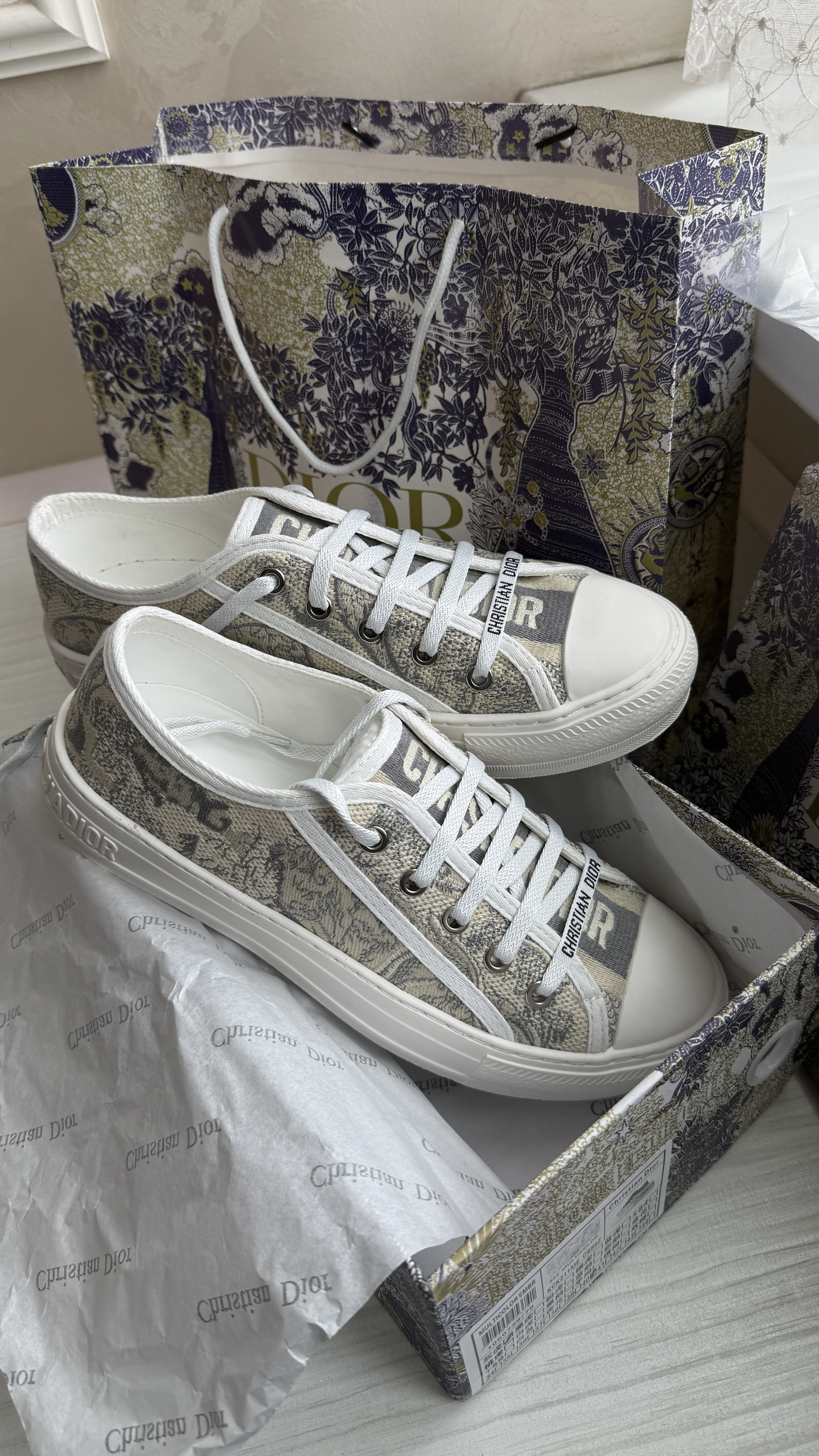 רקע AligaliFinds 3